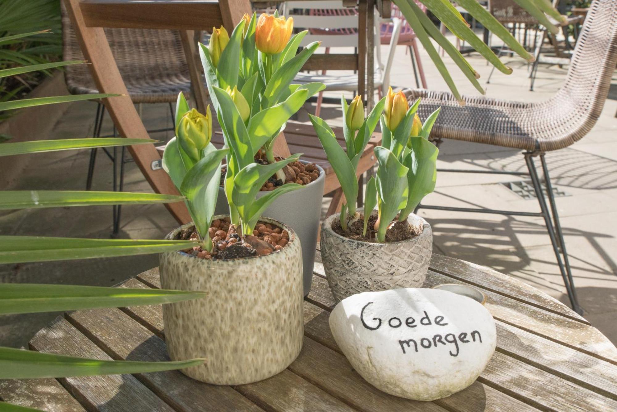 The Bloom Hotel Noordwijk Bagian luar foto